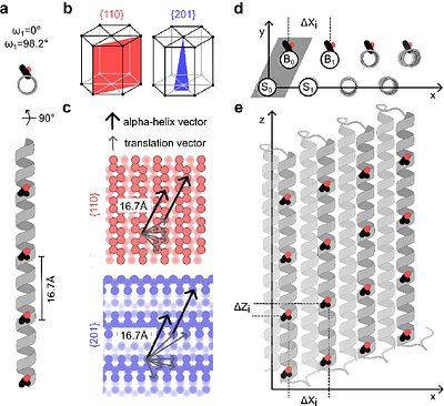 Inhibition of ice recrystallization with designed twistless helical repeat proteins