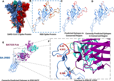 An Integrated Computational Antigen Discovery Pipeline with Hierarchical Filtering for Emerging Viral Variants