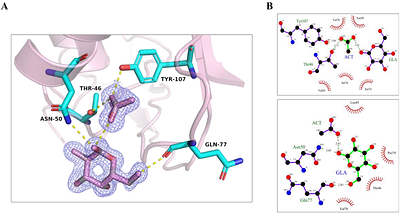 Structural basis for saccharide binding by human RNase 2/EDN, a protein combining enzymatic and lectin properties