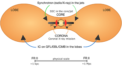 The Emerging Population of High-energy Emitting Radio Galaxies