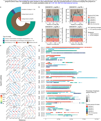 Chromosome-level scaffolding of haplotype-resolved assemblies using Hi-C data without reference genomes