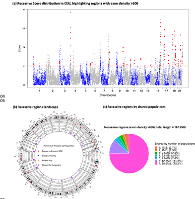 Neanderthal introgressed ancestry reveals human genomic regions enriched with recessive deleterious mutations