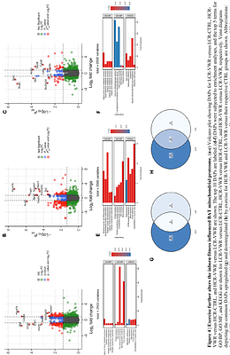Inborn cardiorespiratory fitness and exercise training modulate brown adipose tissue function and plasticity in early life