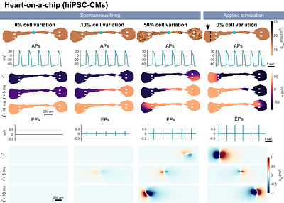 Sometimes extracellular recordings fail for good reasons