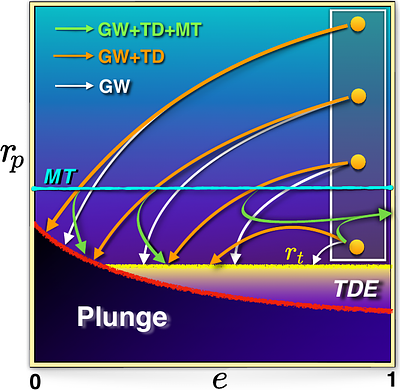 Relativistic Tidal Dissipation and the Gravitational-wave Signal of a White Dwarf Orbiting an Intermediate-Mass Black Hole