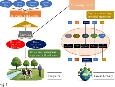 Heavy Metal-Resistant, Plastic-Degrading Bacillus sp. Isolated from Landfill Leachate: Identification and Characterization