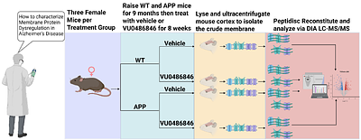 Membrane Proteome Remodeling in Female APP Mice Following Muscarinic Acetylcholine Receptor M1 Modulation Revealed by Peptidisc Enabled DIA-MS.