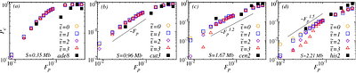 Polymer dynamics reveal stage-wise unfolding and homologous pairing of chromosomes in S. pombe