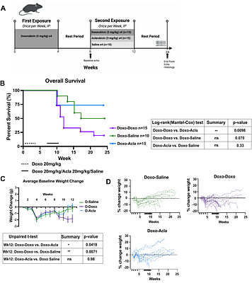 Determining preclinical safety of Aclarubicin in pediatric malignancies