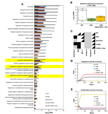Multimodal gene and targeted drug therapy for chronic myelogenous leukemia: Computational target analysis and therapeutic validation