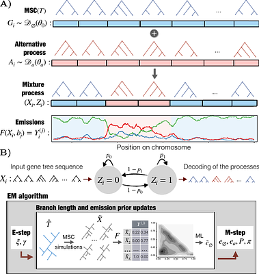 Phlag: Scalable detection of genomics regions with unexplained phylogenetic heterogeneity