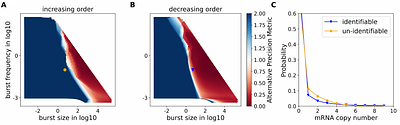 Scalable Inference and Identifiability of Kinetic Parameters for Transcriptional Bursting from Single Cell Data