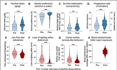 A Preclinical Alcohol BioBank: Samples from Behaviorally Characterized HS Rats for AUD Research