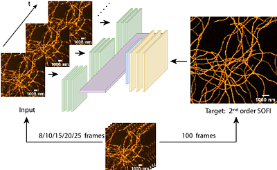 Enabling Real-Time Fluctuation-Based Super ResolutionImaging