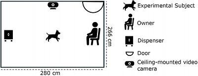 Analysis of the spatiotemporal dynamics of behavior in domestic dogs with free locomotion under appetitive Pavlovian contingencies