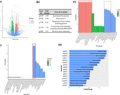 NCR13 peptide protects soybean against Cercospora sojina by multiple modes of action and additive interaction with chemical fungicides