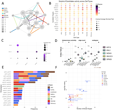 Regulatory logic of human cortex evolution by combinatorial perturbations