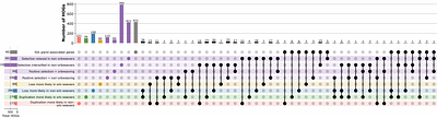 Comparative transcriptomic analysis reveals signatures of selection for orb-weaving behavior in spiders