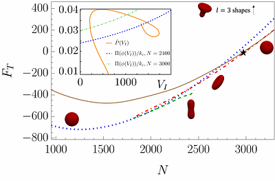 Osmotically Induced Shape Changes in Membrane Vesicles