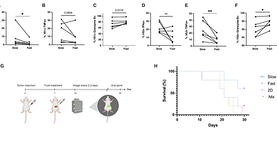 Viscoelastic Niches Shape γδ T-Cell Phenotype and Effector Function