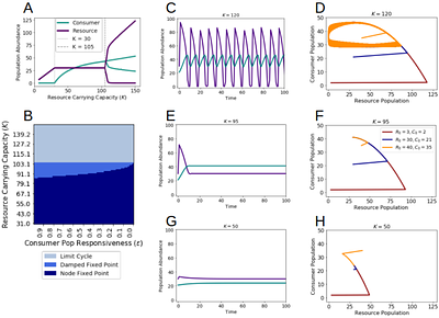 Delayed predator response increases ecosystem's vulnerability to collapse under a changing environment