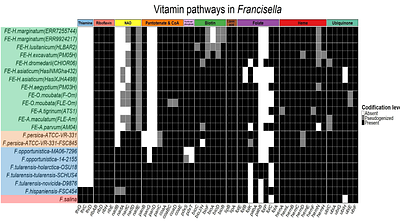 Evolution and comparative genomics of tick-associated <Francisella> endosymbionts: insights into metabolic pathways and historical biogeographic patterns