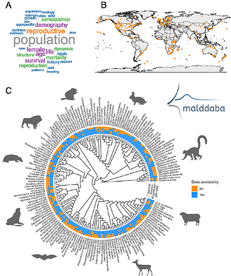 A MammaLian Demographic Database for comparative analyses of evolutionary biodemography: malddaba