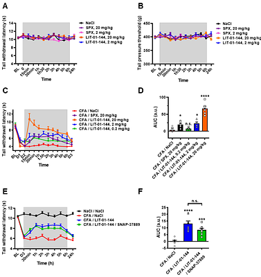 A metabolically resistant spexin analogue, LIT-01-144, induces potent non-opioid peripheral antinociception in persistent pain via activation of GALR2