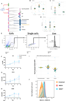 Synthetic peptide hydrogels as a model of the bone marrow niche demonstrate efficacy of a combined CRISPR-CAR T-cell therapy for acute myeloid leukaemia