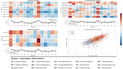 A five-dimensional functional state space for fingerprinting disease transcriptomes
