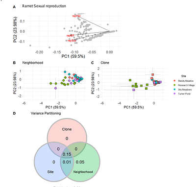 A high degree of clonal reproduction and aggregated structure of milkweed clones does not affect ramet sexual reproduction