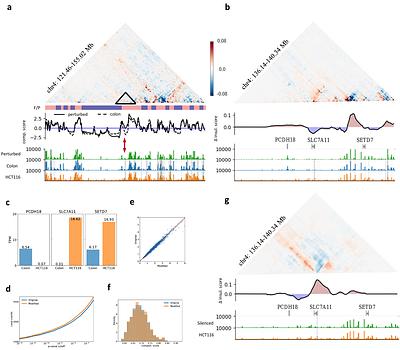 Hierarchical prediction and perturbation of chromatin organization reveal how loop domains mediate higher-order architectures