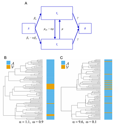 Untangling the effects of within-host and between-host natural selection in viruses with applications to evolution of HIV-1 co-receptor usage