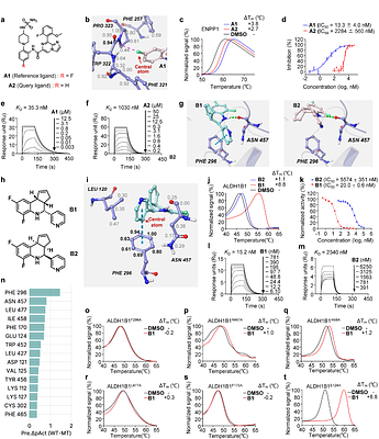 Advancing Ligand Binding Affinity Prediction with Cartesian Tensor-Based Deep Learning