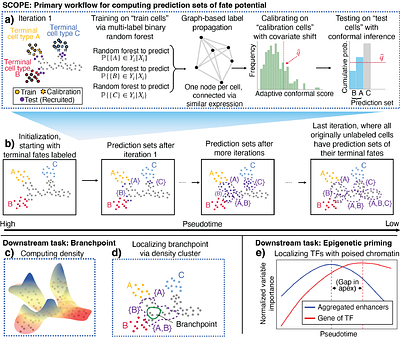SCOPE: Localizing fate-decision states and their regulatory drivers in single-cell differentiation
