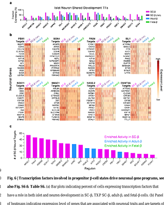Comparative and Integrative Single Cell Analysis Reveals New Insights into the Transcriptional Immaturity of Stem Cell-Derived β Cells