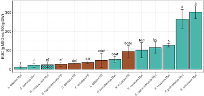 Mycelium of mushroom-producing fungi as high-quality protein source