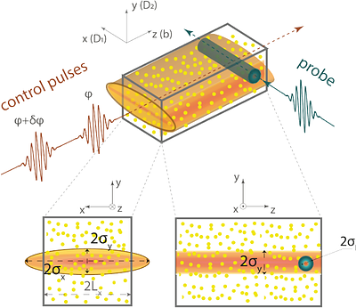 Exponential enhancement of sensitivity in Ramsey interferometry with
  optically thick ensemble of atoms