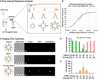 Universal functionalization of extracellular vesicles with nanobody adapters