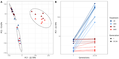 Parallel adaptive responses to postponed reproduction increase lifespan and immune defense