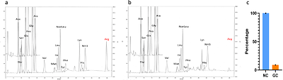 Using digital holographic microscopy (DHM) to monitor effects of extracellular matrix (ECM) glycation on cancer cell morphology and migration
