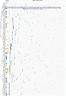 Diversity at the Acinetobacter baumannii K locus: towards a comprehensive in silico database for prediction of capsular polysaccharide types