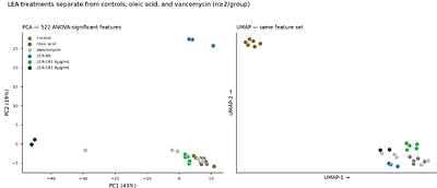 The Testing and Characterization of the Bacterial Response to Novel Lipid Ether Amine-Based Antibiotics