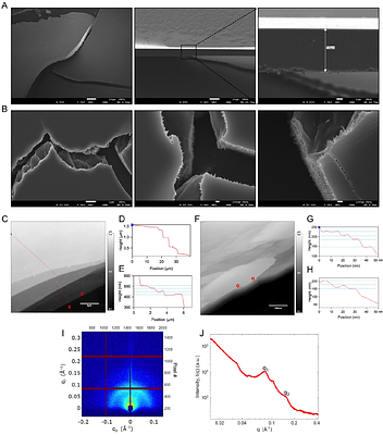 SpyTag-Enabled Assembly of Bacterial Microcompartment Trimers into Macroscopic Layered Protein Materials