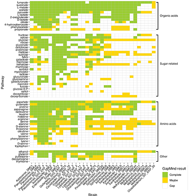 Methane-fed microbial communities enriched from field-grown rice support diverse heterotrophic bacteria