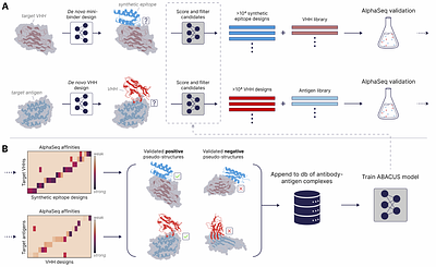 The Synthetic Epitope Atlas: High-Throughput Design and Validation of De Novo Antibody-Antigen Complexes