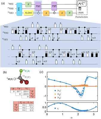 Noise cancellation by superposition of channels and superactivation of quantum capacity: Experimental realization by NMR