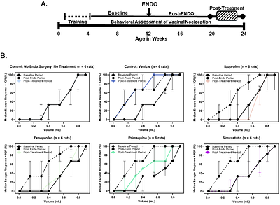 A Transcriptomics-Based Computational Drug Repositioning Pipeline Identifies Simvastatin And Primaquine As Novel Therapeutics For Endometriosis Pain