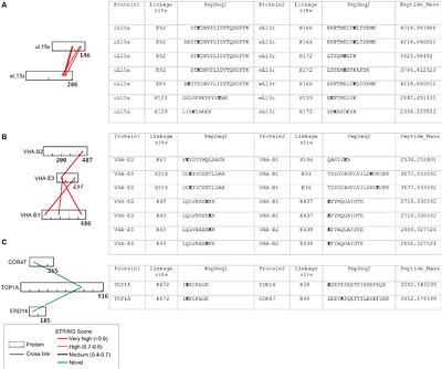 Mapping Architecture of Protein complexes in Arabidopsis using XL-MS