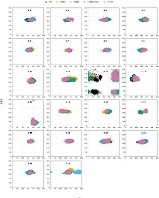 Decoding Mutually Induced Conformational Changes in Non-Canonical Recognition of U1 SL4 snRNA by ULD of SF3A1 during Early Spliceosome Assembly